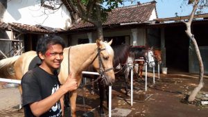 manfaat terapi paz al kasaw pengobatan akhir zaman