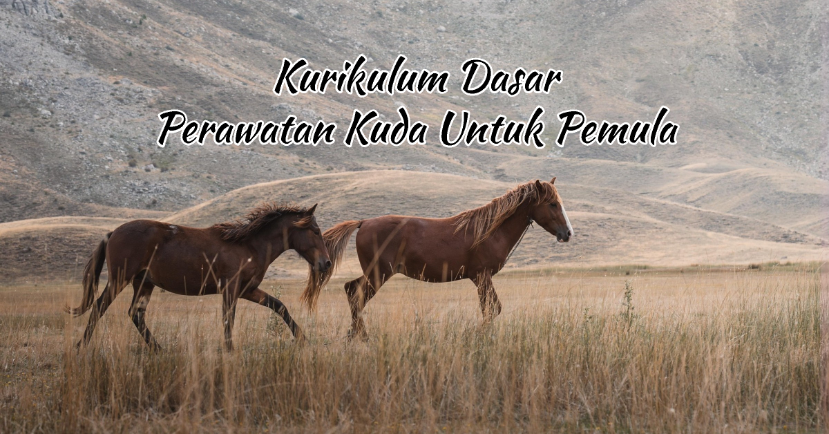 kurikulum dasar perawatan kuda