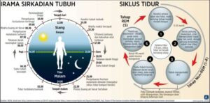 cara tidur rasulullah cara tidur nyenyak manfaat tidur tanpa bantal