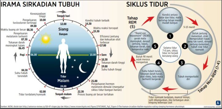 cara tidur rasulullah cara tidur nyenyak manfaat tidur tanpa bantal