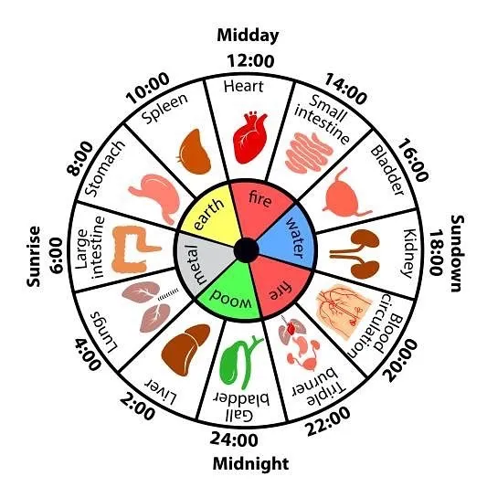 jam piket organ cara tidur cepat 30 detik cara tidur nyenyak manfaat tidur siang